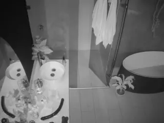 Casa Salsa Bathroom 6's Live Sex Cam Show
