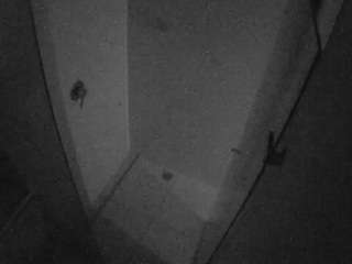 hd  voyeur  shower...