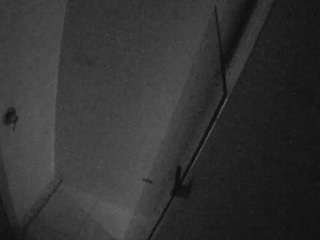voyeurcam-casa-salsa-bathroom-7