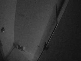 voyeurcam-casa-salsa-bathroom-7
