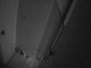 voyeurcam-casa-salsa-bathroom-7 webcam model