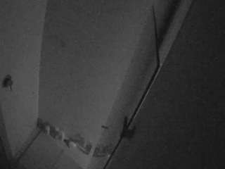 voyeurcam-casa-salsa-bathroom-7 voyeurcam-casa-salsa-bathroom-7
