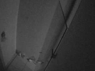 voyeurcam-casa-salsa-bathroom-7