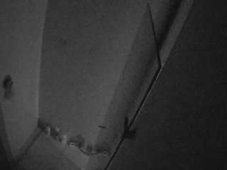 voyeurcam-casa-s... Live Webcam on CamSoda