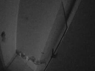 voyeurcam-casa-s... Live Webcam on CamSoda