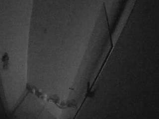 voyeurcam-casa-salsa-bathroom-7