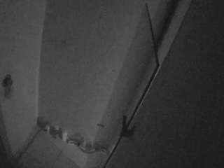 voyeurcam-casa-salsa-bathroom-7 camsoda