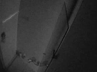 voyeurcam-casa-s... Live Webcam on CamSoda