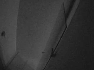 voyeurcam-casa-salsa-bathroom-7 Live Webcam on CamSoda