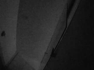 voyeurcam-casa-salsa-bathroom-7