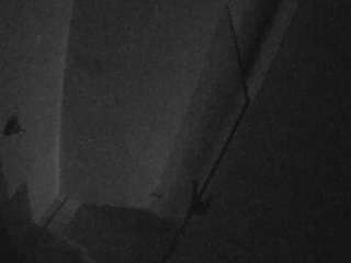 voyeurcam-casa-salsa-bathroom-7