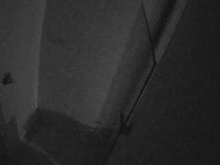 voyeurcam-casa-salsa-bathroom-7