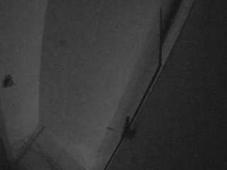 voyeurcam-casa-salsa-bathroom-7