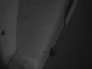 voyeurcam-casa-salsa-bathroom-7