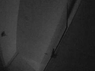 voyeurcam-casa-salsa-bathroom-7