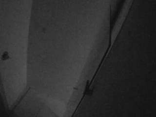 voyeurcam-casa-salsa-bathroom-7
