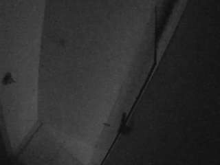 voyeurcam-casa-salsa-bathroom-7