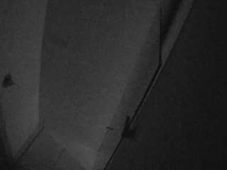 voyeurcam-casa-salsa-bathroom-7