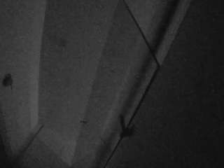 voyeurcam-casa-s... Live Webcam on CamSoda