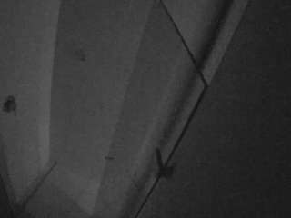 voyeurcam-casa-salsa-bathroom-7