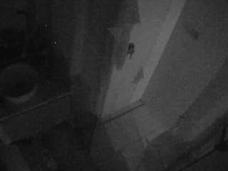 voyeurcam-casa-s... Live Webcam on CamSoda