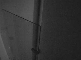 Casa Salsa Bathroom 7 Nude on Cam