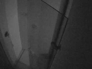 voyeurcam-casa-salsa-bathroom-7