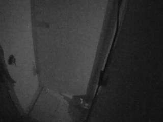 voyeurcam-casa-salsa-bathroom-7