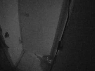 voyeurcam-casa-salsa-bathroom-7