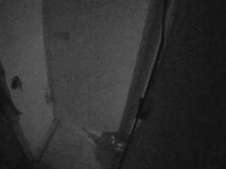 voyeurcam-casa-salsa-bathroom-7