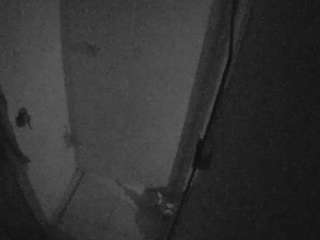 voyeurcam-casa-salsa-bathroom-7