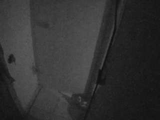 voyeurcam-casa-salsa-bathroom-7