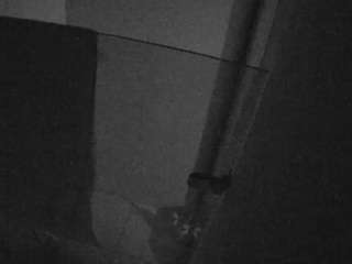 voyeurcam-casa-salsa-bathroom-7