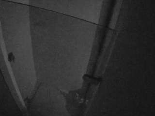 voyeurcam-casa-salsa-bathroom-7