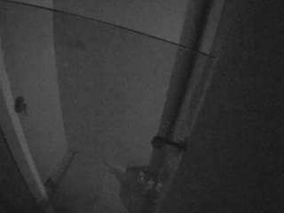 voyeurcam-casa-salsa-bathroom-7