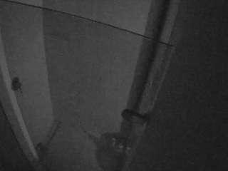 voyeurcam-casa-salsa-bathroom-7