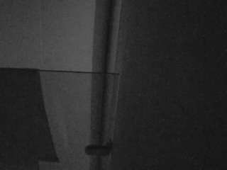 Live stream of voyeurcam-casa-salsa-bathroom-7
