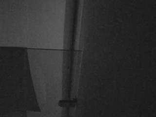 Live stream of voyeurcam-casa-salsa-bathroom-7