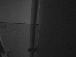 Ce modèle est en direct maintenant. voyeurcam-casa-salsa-bathroom-7