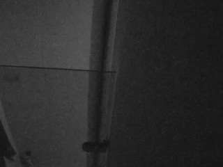 Este modelo está en vivo ahora. voyeurcam-casa-salsa-bathroom-7