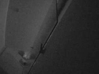 voyeurcam-casa-salsa-bathroom-7