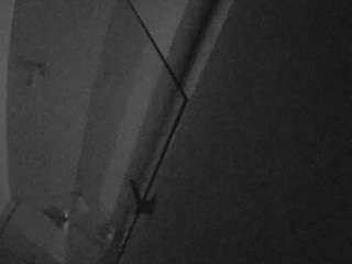 voyeurcam-casa-salsa-bathroom-7