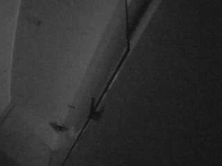 Casa Salsa Bathroom 7 live webcam show