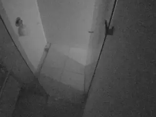 Casa Salsa Bathroom 7's Live Sex Cam Show