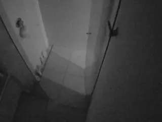 Casa Salsa Bathroom 7's Live Sex Cam Show