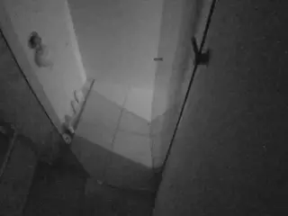 Casa Salsa Bathroom 7's Live Sex Cam Show