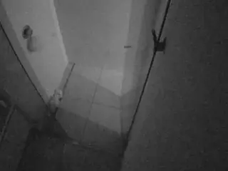 Casa Salsa Bathroom 7's Live Sex Cam Show