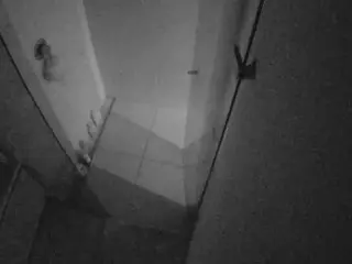 Casa Salsa Bathroom 7's Live Sex Cam Show