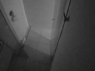 Casa Salsa Bathroom 7's Live Sex Cam Show