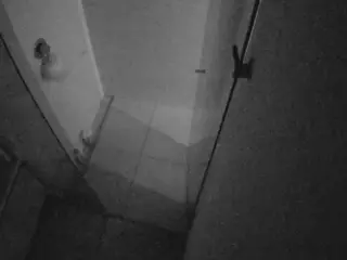 Casa Salsa Bathroom 7's Live Sex Cam Show